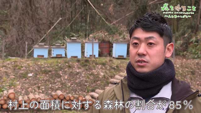 サケやお茶、伝統の祭まで…「伝統文化そのものが継承できなくなる」“約85%の森林”の城下町が直面する課題