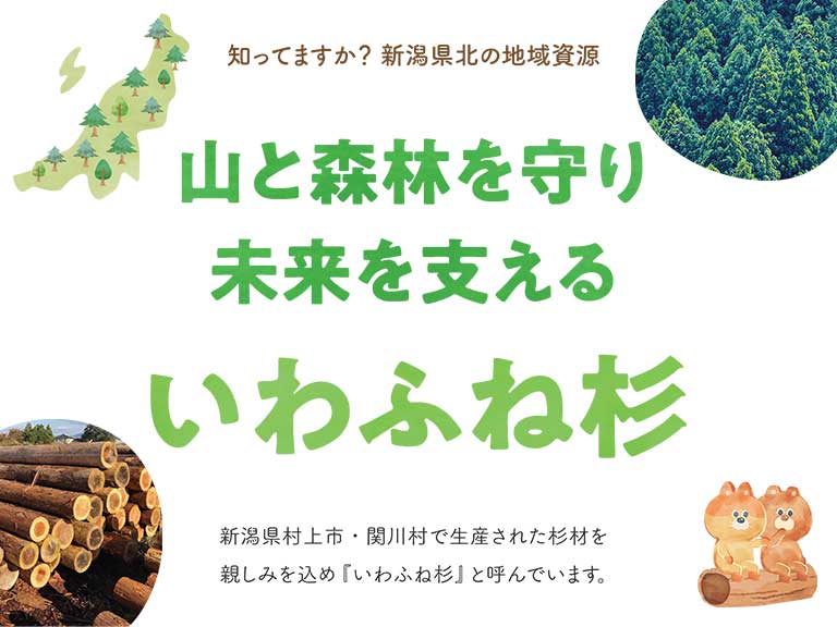 新潟県北の誇り「いわふね杉」〜先人の技術と郷土愛が育む、未来を支える地域ブランド〜